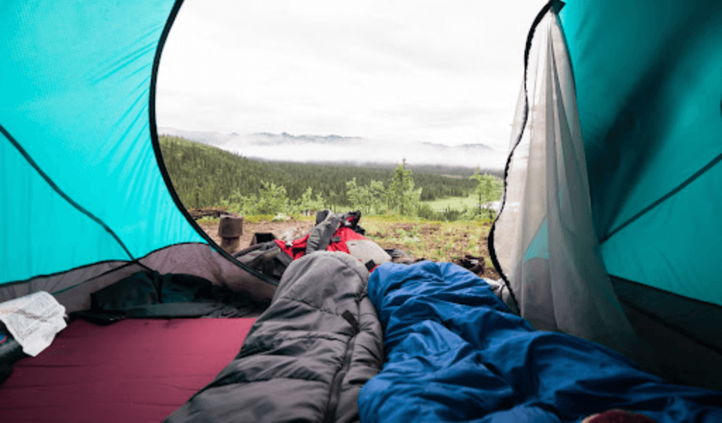 Top 10 Sacchi a Pelo