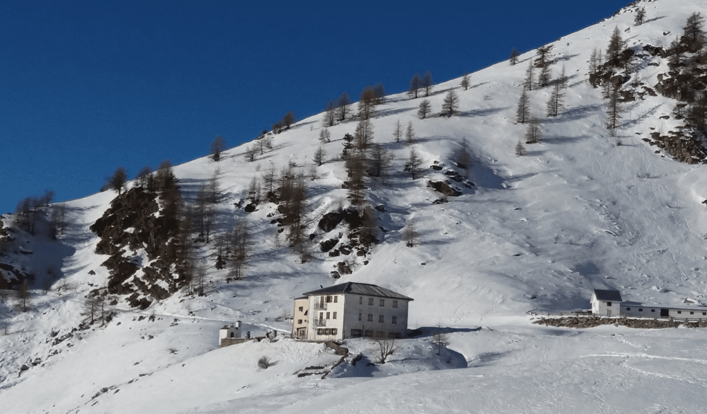 Rifugio Selleries: Un'Accoglienza Alpina tra Panorami e Natura Selvaggia