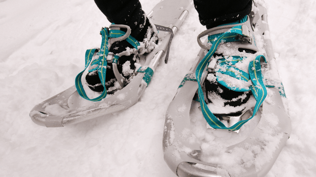 Manutenzione e Conservazione delle Ciaspole per Farle Durare