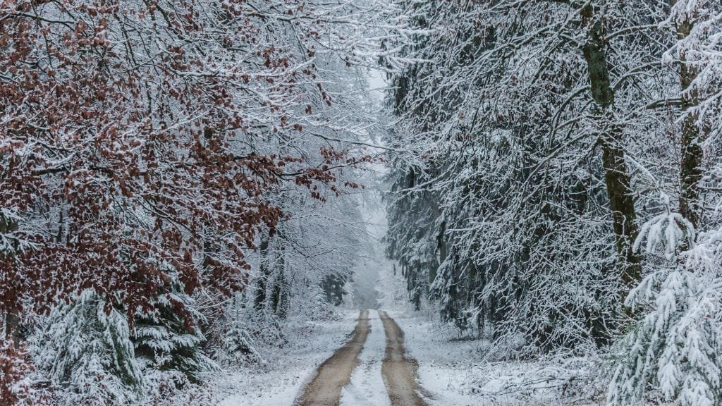 come vestirsi per la neve