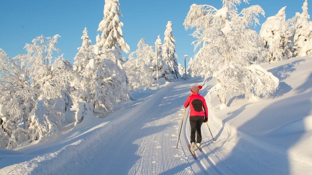 sci di fondo Val di Fiemme