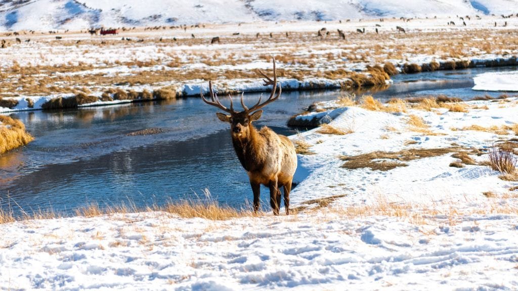ciaspole Alpe di Siusi